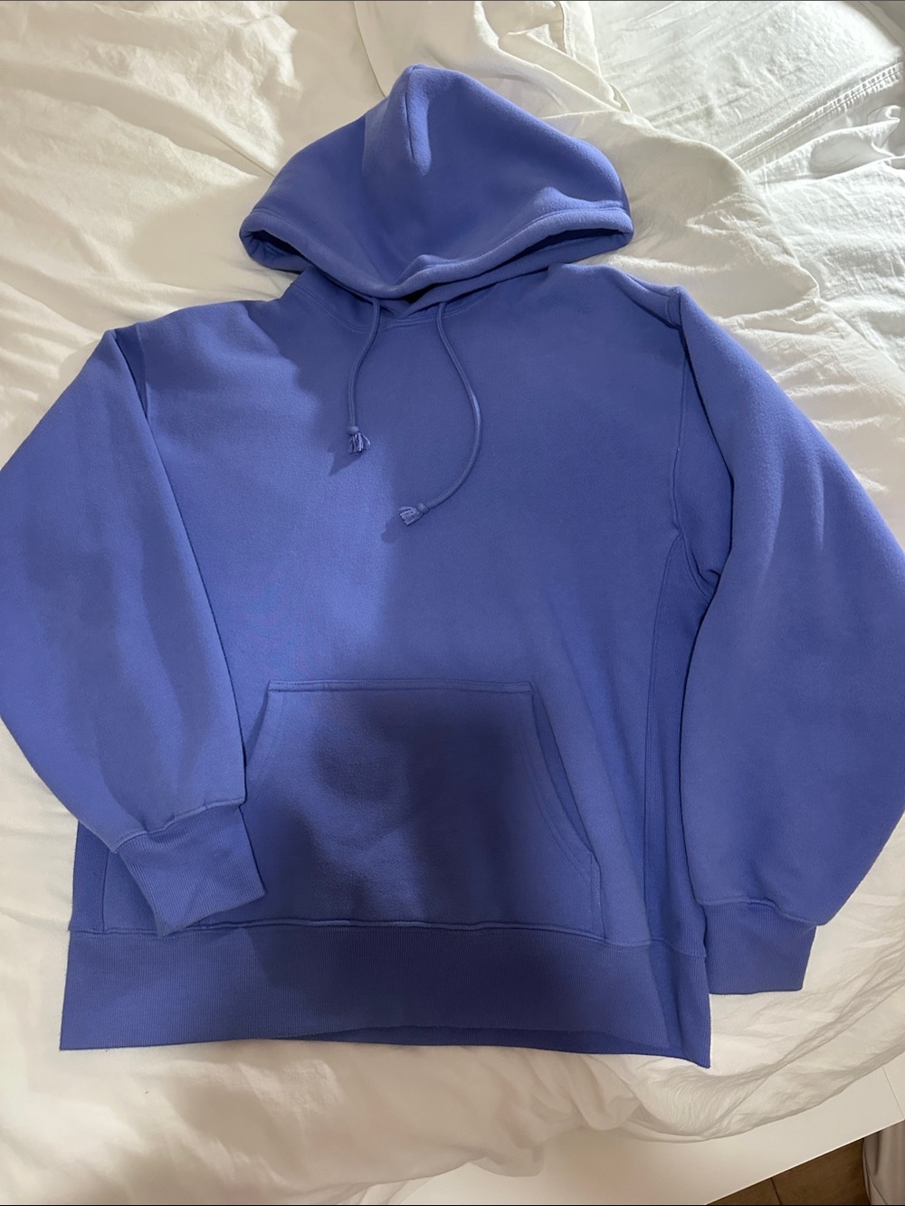 Aritzia Boyfriend Hoodie in purple/blue. Almost never worn and super soft inside